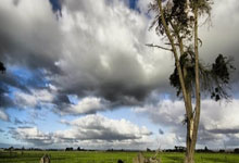 战术灵活多变的教练组织球队迅速适应对手节奏