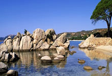 战术灵活多变的教练组织球队迅速适应对手节奏