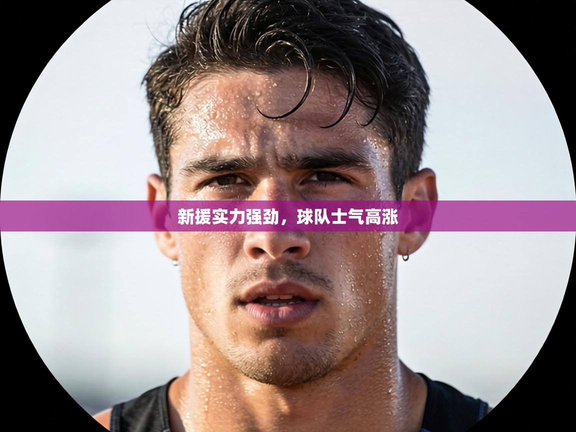 新援实力强劲，球队士气高涨