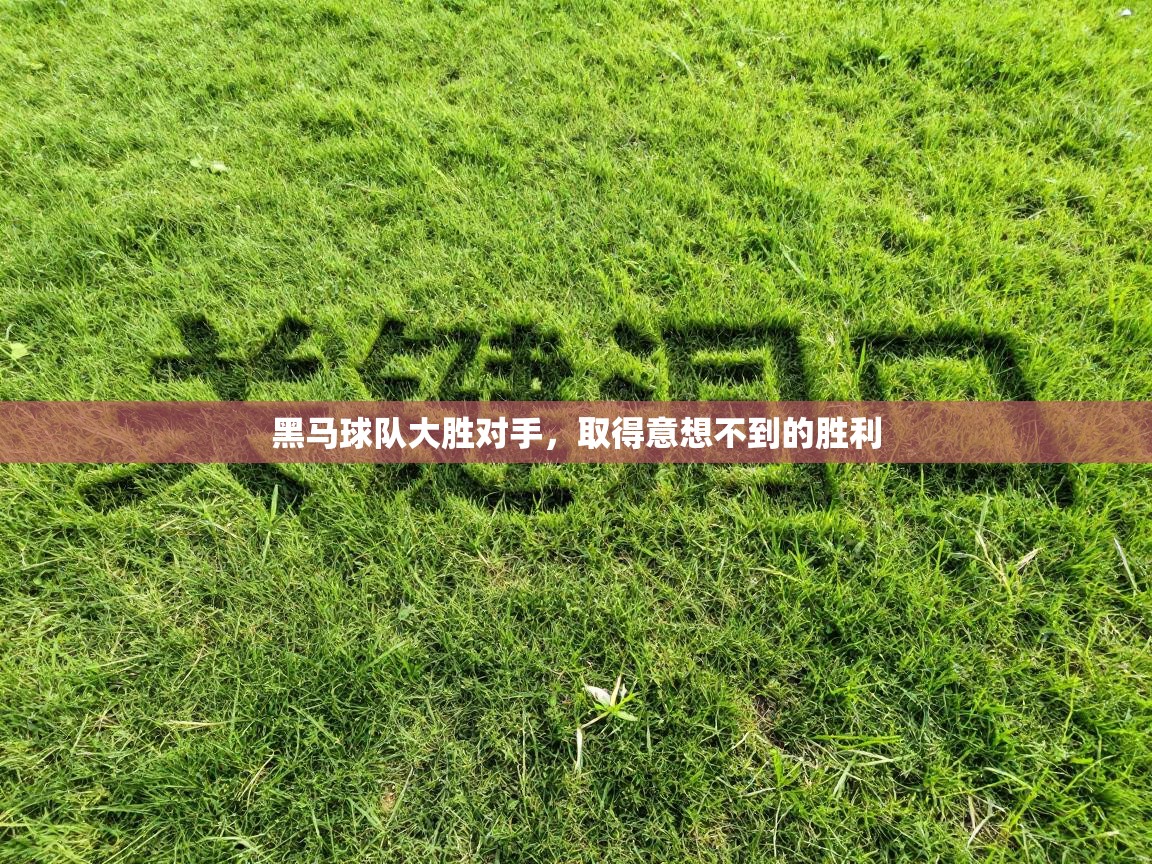 黑马球队大胜对手，取得意想不到的胜利  第2张